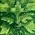 clip_image001 clip_image001