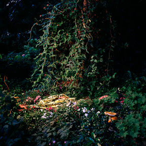 “Midnight's Summer Dream“, 2002 Tirage Lambda, 80 x 80 cm