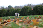 Well Francesca, I guess that's why they call it fall!