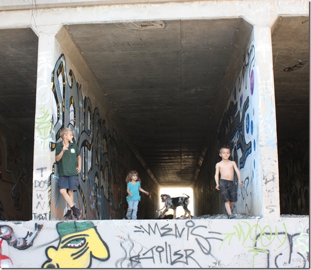 Gila Fishing 111