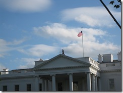 IMG_1316 IMG_1316