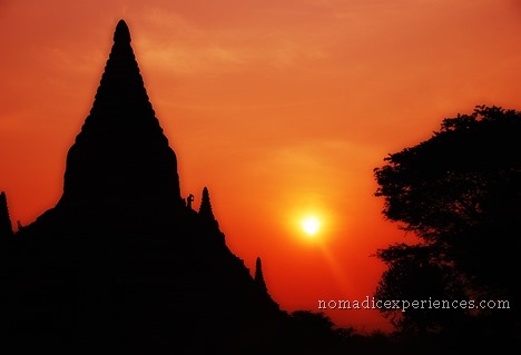DSC_0739 DSC_0739