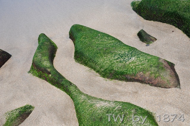 [DSC_6005%255B6%255D.jpg]