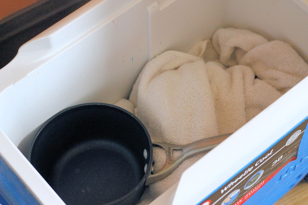 [how_to_ferment_yogurt%255B5%255D.jpg]