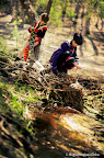 10.02.12-cp1.jpg