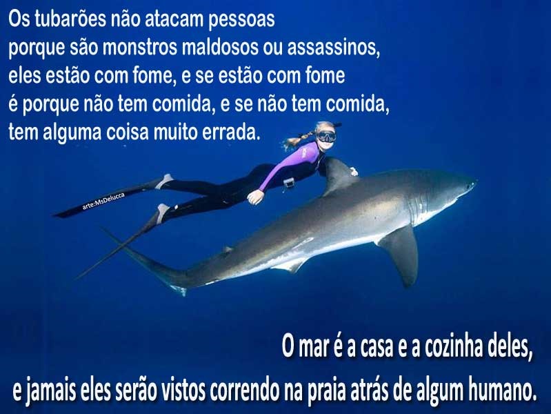 [tubarao-mar%255B3%255D.jpg]