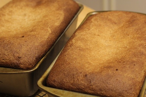 [ezekiel-bread_1660%255B4%255D.jpg]