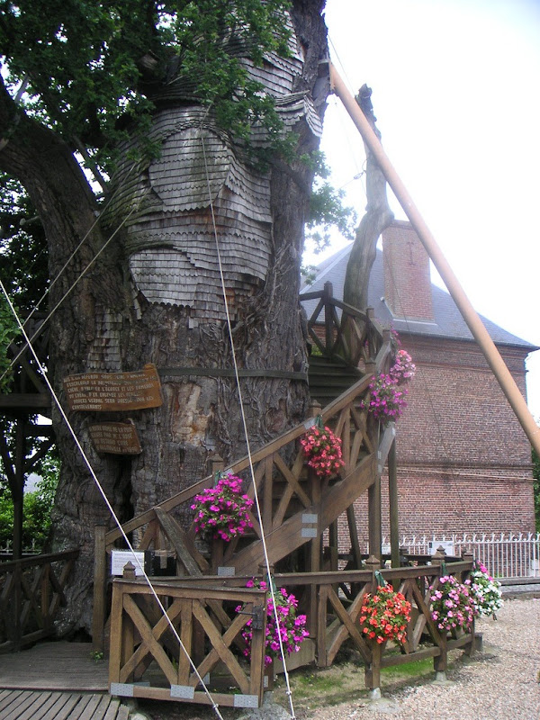 amazing-oak-chapel-3 amazing-oak-chapel-3