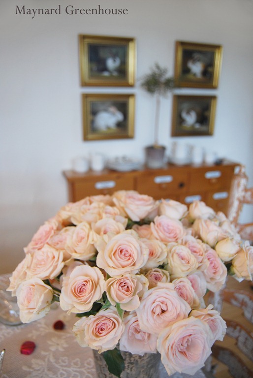 [roses.jpg]