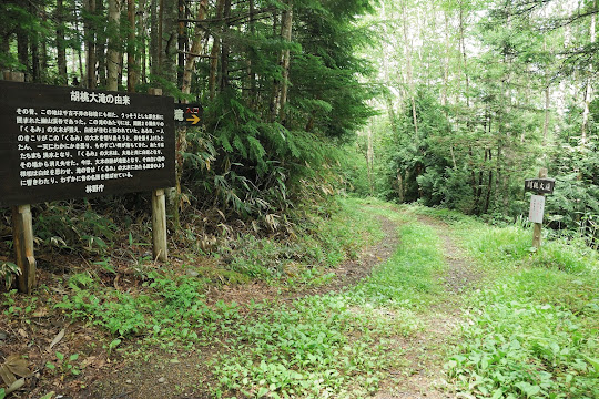 胡桃大滝入口(林道の右側)