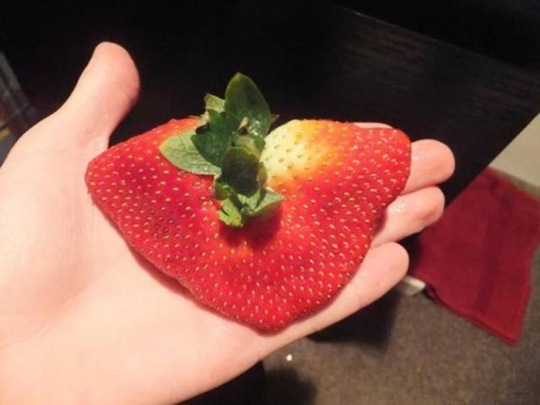 [viral-picdump-pics-27%255B2%255D.jpg]