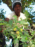 South Africa - 236.JPG