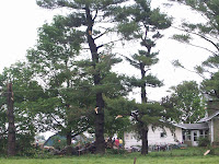 Damage on 111th Avenue in Henry County Damage on 111th Avenue in Henry County