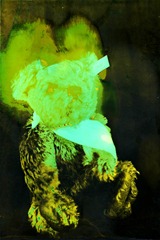 Split-Toned-Prints---Bears-1-K