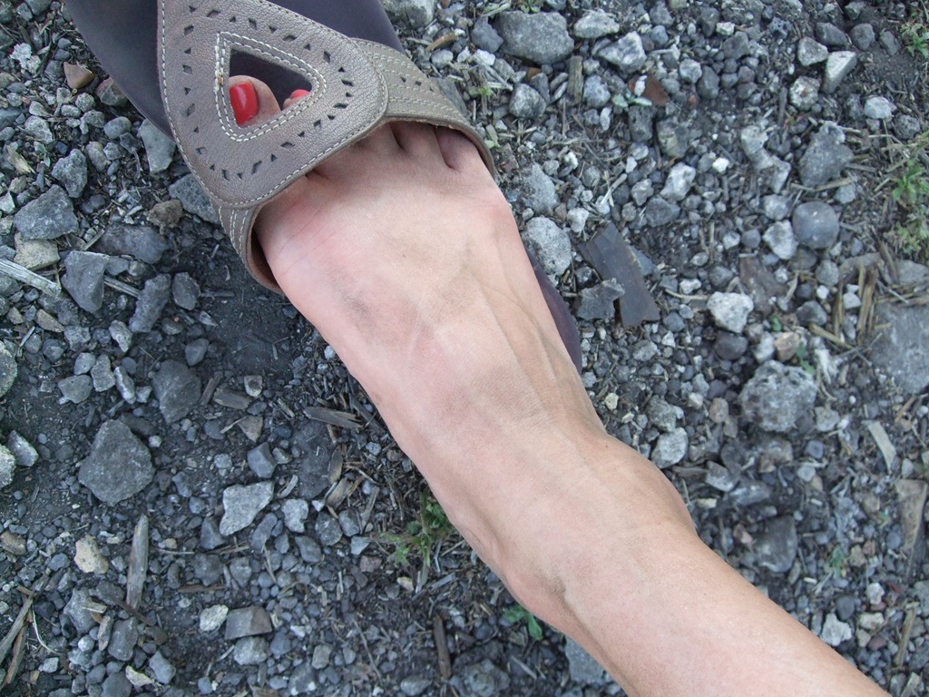 [DSCF4184%255B5%255D.jpg]