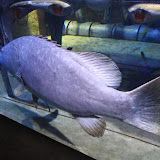 IMG_4805.JPG