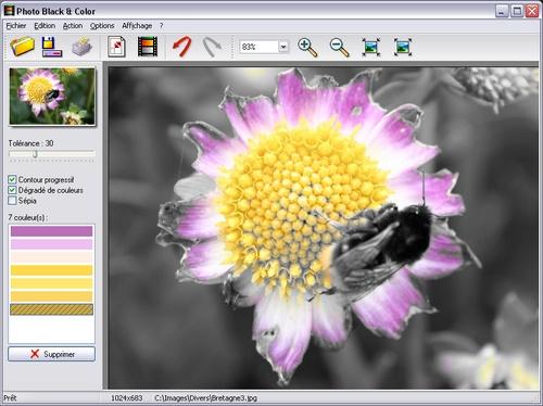 Descargar Photo Black & Color gratis