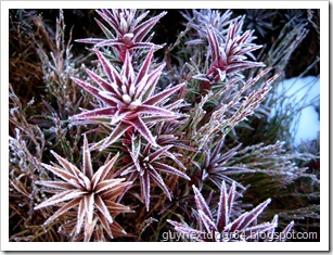 IMG_9305 IMG_9305