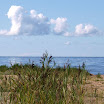P7120315.JPG