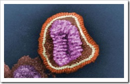 virus-gripe virus-gripe