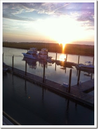 IMG_3505 IMG_3505