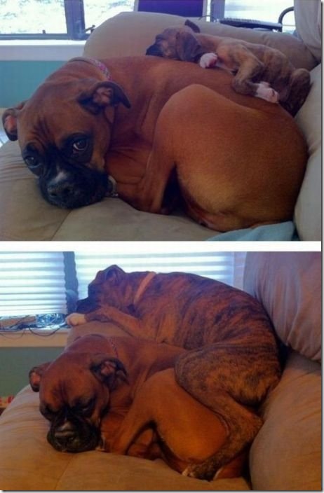 viral-picdump-pics-f8c1fd