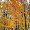 DSC_0322.jpg