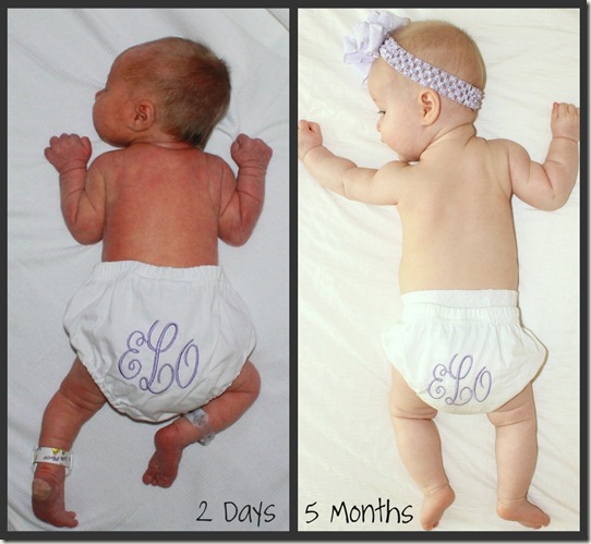 e 5 months e 5 months
