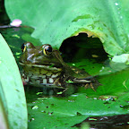 IMG_2574.JPG