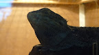 P1010039.JPG