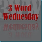 3wordwednesday 3wordwednesday