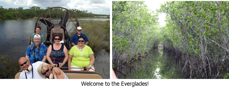 [Everglades%2520pic%2520combo%255B4%255D.png]