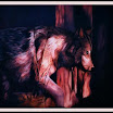 wolfinwoods.JPG