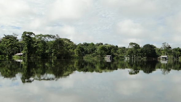 Reserva Mamirauá