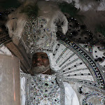 IMG_1174.JPG