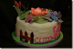 IMG_5390 IMG_5390