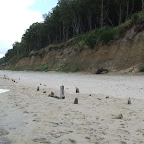 ...krajobraz