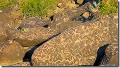 IMG_4898 (640x359) IMG_4898 (640x359)