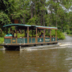 dsc00103.jpg