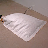 Landscape Installation - 3%252520oclock%2525204%252520oclock%252520014.jpg