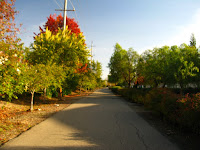 Iron Horse Trail 217.JPG Photo