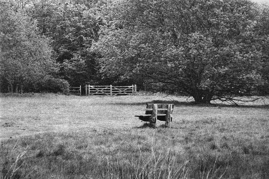 [Hartsholme-Memorial-Bench-2%255B3%255D.jpg]