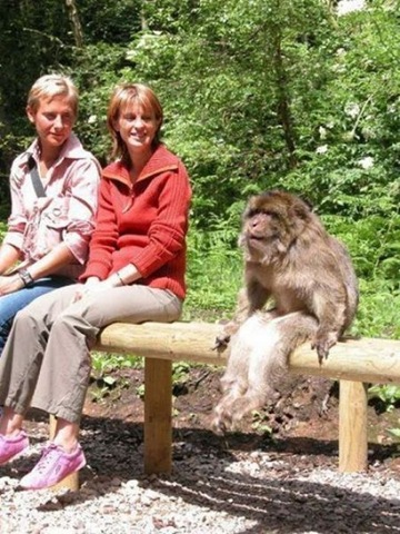 [viral-picdump-pics-8d99b4%255B2%255D.jpg]