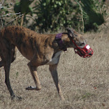 DSC_6934.JPG