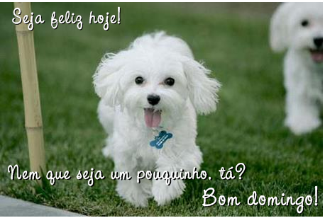 feliz feliz