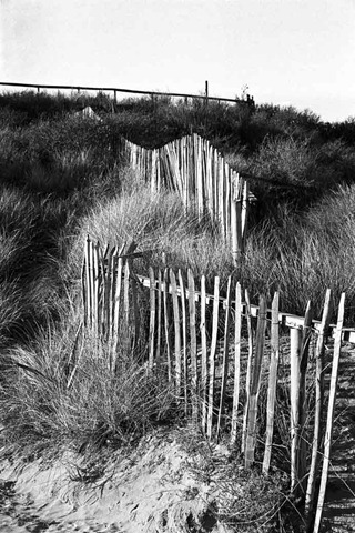 Sand-Dune-Fencing-7
