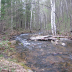 IMG_1933.jpg
