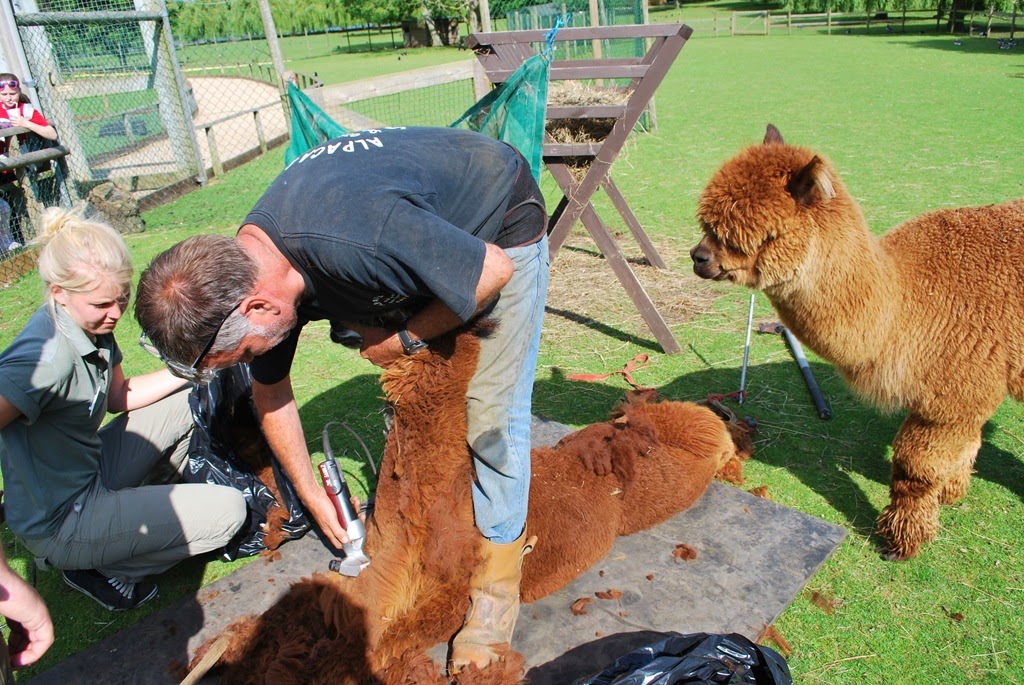 [DSC_0441%255B4%255D.jpg]