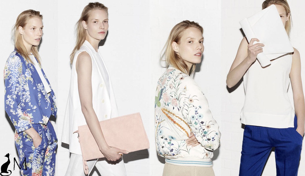 [lookbook%2520Zara%25202013%2520Mayo%2520SS%25202013%2520Primavera%2520Verano%25202013%255B5%255D.jpg]