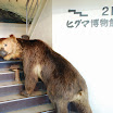 hokkaido_623.jpg